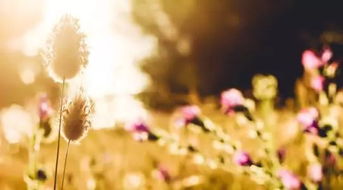 認(rèn)真做事的正能量句子,做事正能量的句子,做人做事正能量的句子