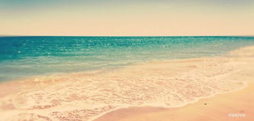 工作正能量句子關(guān)于堅(jiān)持的