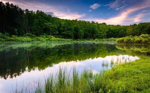 早上發(fā)圈正能量滿滿的句子,護(hù)膚品早上發(fā)圈正能量的句子,早上發(fā)圈的正能量和句子