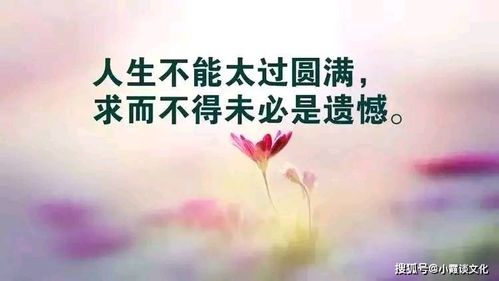 句子,個(gè)性簽名,能量,人生感悟