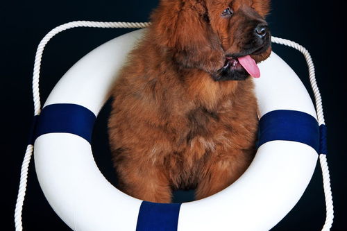 具有正能量的句子15個字的