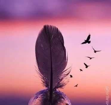 幣圈正能量句子,晚安圈軟文正能量句子,朋友圈勵志的句子