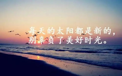 句子,語句,能量,經(jīng)典