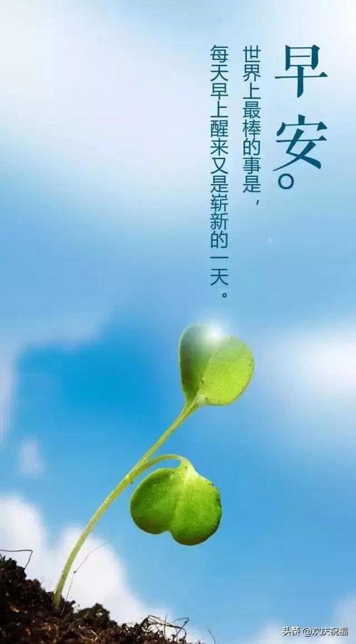 早安,句子,唯美,能量