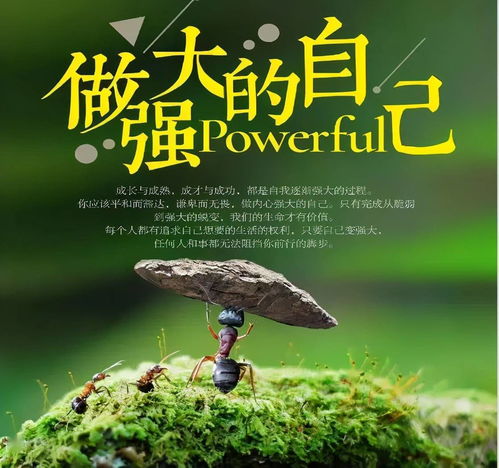 男生頭像激勵人心的正能量句子