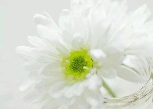 傷感帶有正能量的句子,成長(zhǎng)傷感正能量的句子,傷感正能量的句子經(jīng)典語句