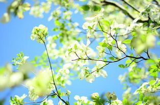 陽光正能量的說說唯美句子,早安說說正能量簡短唯美句子,晚上說說正能量簡短唯美句子