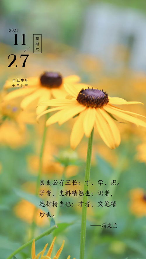 奮斗正能量勵志句子早上好的句子