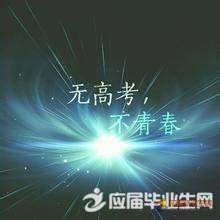 句子,臨近,能量,語言