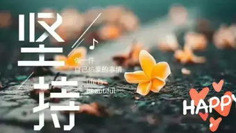 句子,能量,十五字