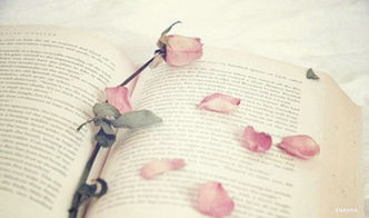 百合與正能量的句子