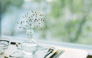 擁抱生活的句子正能量