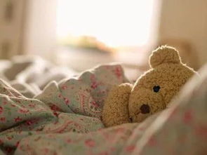 發(fā)朋友圈的句子正能量英文