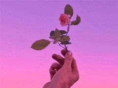 人生事業(yè)奮斗正能量句子,人生努力奮斗正能量的句子,勵(lì)志奮斗正能量的句子