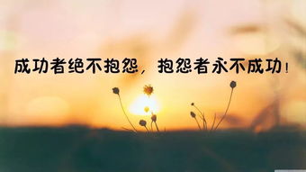 勵(lì)志短句子唯美正能量