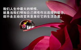 早上勵(lì)志的說說正能量經(jīng)典句子2021