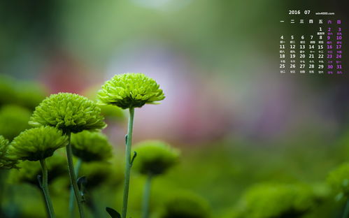 關(guān)于學校安全的正能量的句子