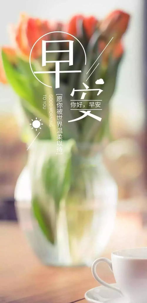 早安感恩正能量的句子,早安感恩正能量的句子,早安勵志正能量的句子