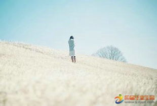 銷售正能量的句子經(jīng)典語(yǔ)句,銷售努力正能量句子,激勵(lì)銷售團(tuán)隊(duì)正能量的句子