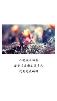 清新正能量的句子,正能量陽(yáng)光清新句子,正能量陽(yáng)光清新句子早安