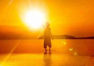 現(xiàn)代詩歌積極陽光正能量的句子