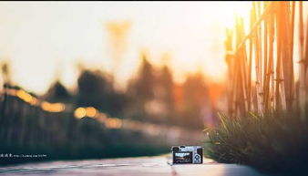 辛苦賺錢(qián)正能量的句子