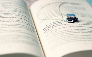 努力賺錢(qián)正能量的句子,女人賺錢(qián)的正能量句子,賺錢(qián)的勵(lì)志正能量句子