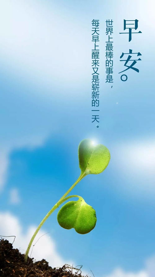 闖天涯正能量句子