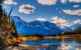 關(guān)于堅(jiān)持的正能量句子,懂得感恩的正能量句子,新的開(kāi)始新的起點(diǎn)正能量句子