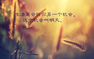 一句,句子,勵志,能量