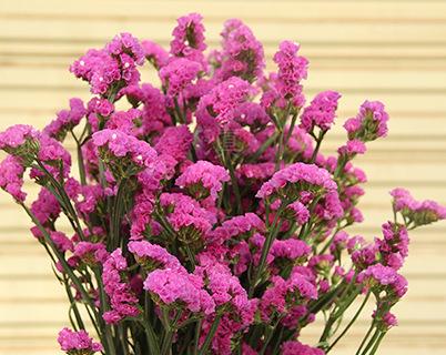 兒童慈善日活動正能量句子