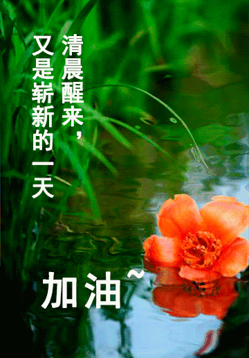 最新-2021早安心語正能量句子精品