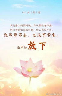 保險(xiǎn)公司,句子,能量,經(jīng)典