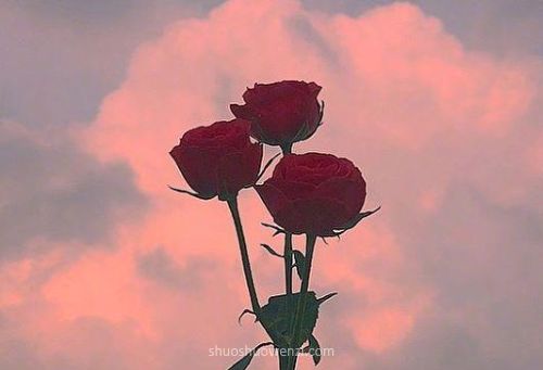 對生活積極向上正能量的句子,積極向上正能量的句子短句,形容積極向上正能量的句子