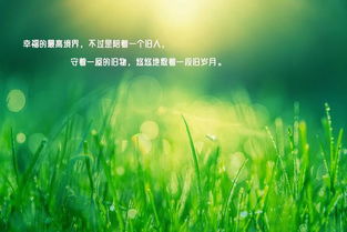 句子,能量,現(xiàn)代詩歌,陽光