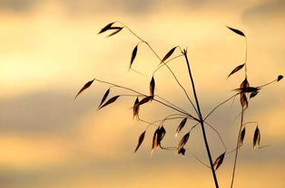 工作感悟正能量的句子150