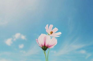 離別朋友圈句子正能量,朋友離別句子正能量,工作離別的句子正能量