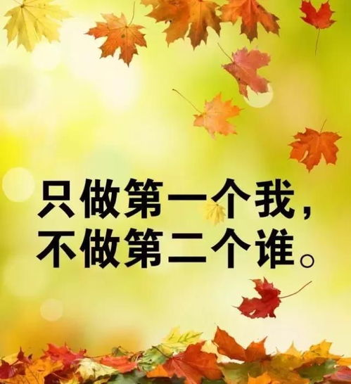 女人獨(dú)立正能量的句子,女人努力工作正能量的句子,女人創(chuàng)業(yè)正能量的句子