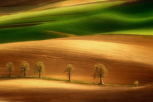 拉團(tuán)隊(duì)的正能量句子