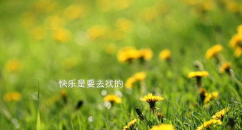 關(guān)于正能量的句子小學(xué)生