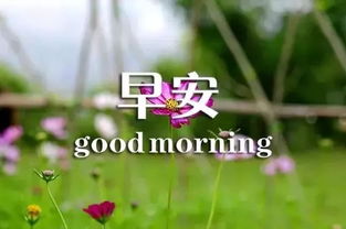 早安勵志正能量滿滿的句子,早安勵志正能量滿滿的句子朋友圈短句,早安勵志正能量滿滿的句子簡短