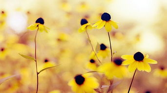 珍惜時間的句子正能量