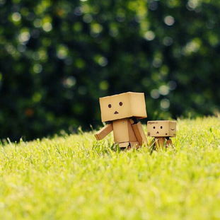 兩口子,句子,能量