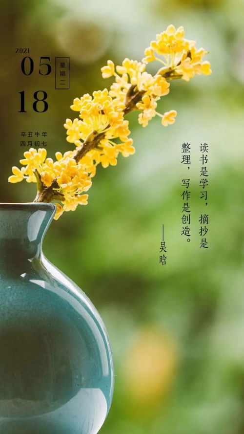 問候早安的句子正能量