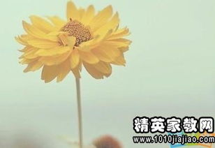 正能量優(yōu)美句子摘抄大全