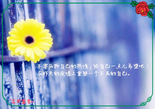 適合早上發(fā)的正能量的句子,適合教師發(fā)的正能量句子,適合發(fā)朋友圈正能量的句子