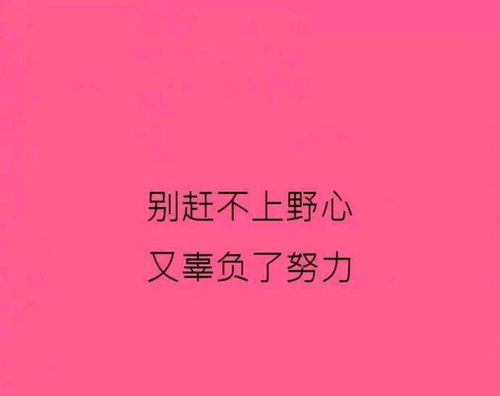 長(zhǎng)句,熱愛生活,句子,能量