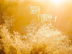 陽(yáng)光正能量的心情的句子