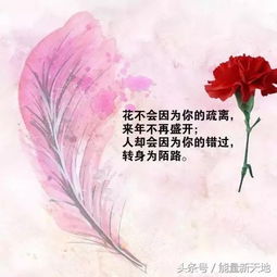 正能量的結尾句子,積極向上正能量的句子結尾,銷售結尾正能量句子