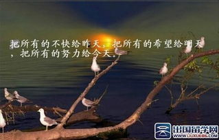 軍人傳遞正能量的句子